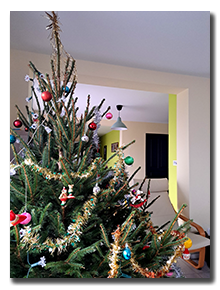 Sapin23