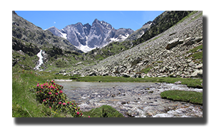 pyrenees