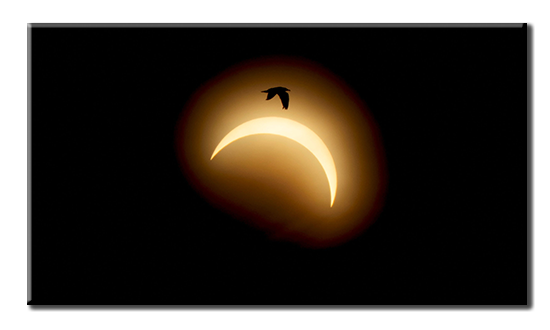EclipseSoleil