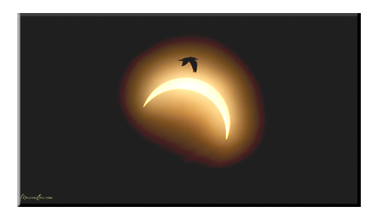 EclipseSoleil1